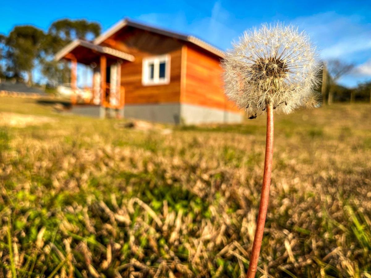 Pousada Flor Do Campestre أوروبيسي المظهر الخارجي الصورة